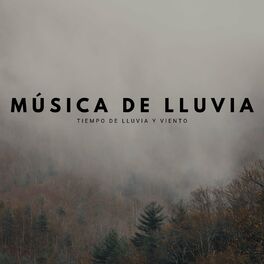 Album cover of Música De Lluvia: Tiempo De Lluvia Y Viento
