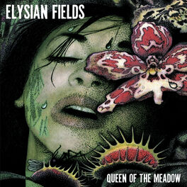 Album cover of Queen of the Meadow