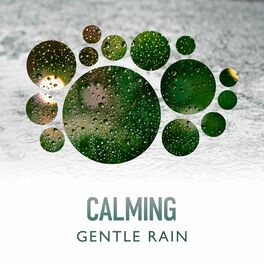 Album cover of Calming Gentle Rain Album