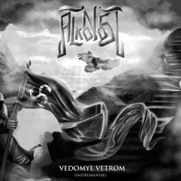 Album cover of Vedomye Vetrom (Instrumental)