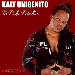 Album cover of Te Pido Perdón