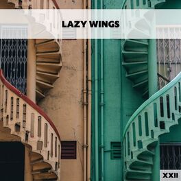 Album cover of Lazy Wings XXII