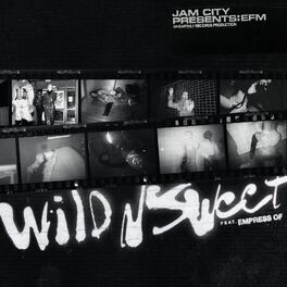 Album cover of Wild n Sweet