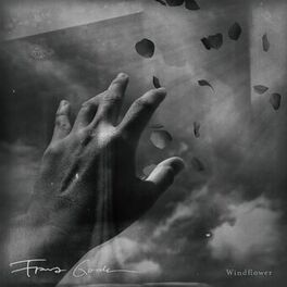 Album cover of Windflower