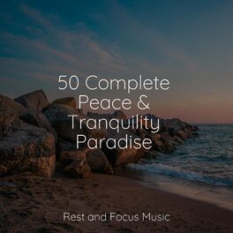 Album cover of 50 Complete Peace & Tranquility Paradise