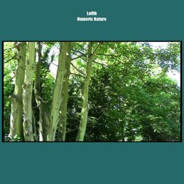 Album cover of Numeric Nature