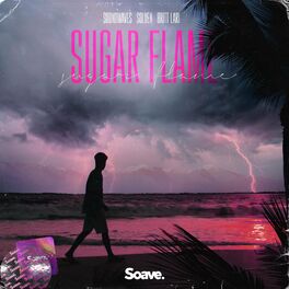 Album cover of Sugar Flame