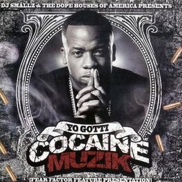 Album cover of Cocaine Muzik