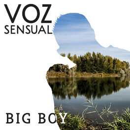 Album cover of Voz Sensual