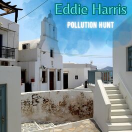 Album cover of Pollution Hunt
