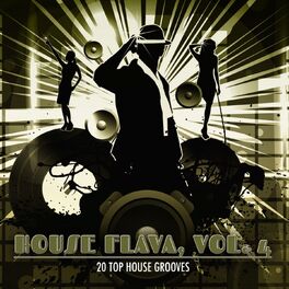 Album cover of House Flava, Vol. 4 (20 Top House Grooves)