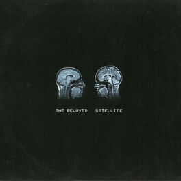 Album cover of Satellite