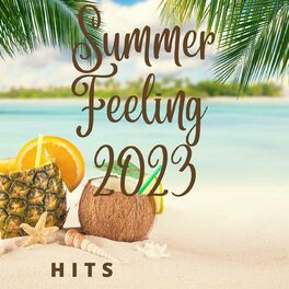 Album cover of Summer Feeling 2023 Hits