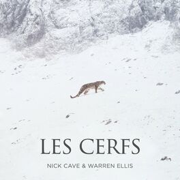 Album cover of Les Cerfs