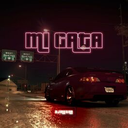 Album cover of Mi Gata (Turreo Edit)
