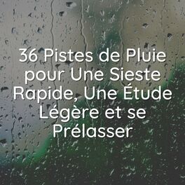 Album cover of 36 Pistes de Pluie pour Une Sieste Rapide, Une Étude Légère et se Prélasser