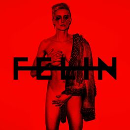 Album cover of FELIN