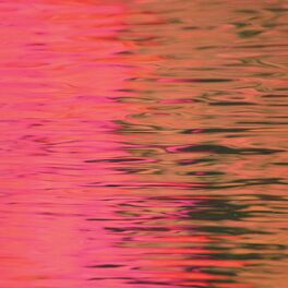 Album cover of Dead Reflection