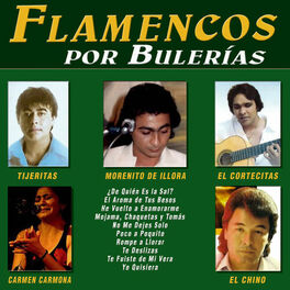 Album cover of Flamencos por Bulerias