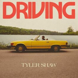 Album cover of Driving