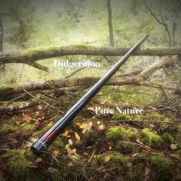 Album cover of Didgeridoo Pure Nature
