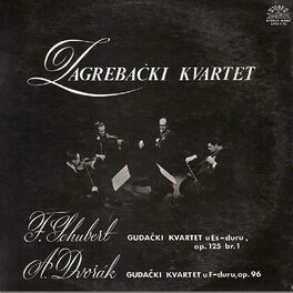 Album cover of Schubert/dvoržak