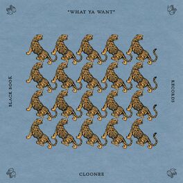 Album cover of What Ya Want