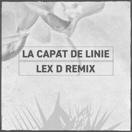 Album cover of La Capăt De Linie (Lex D Remix)
