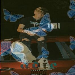 Album cover of Eastbranch Butterflies