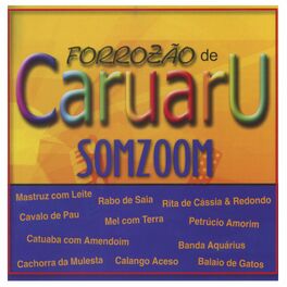 Album cover of Forrozão de Caruaru