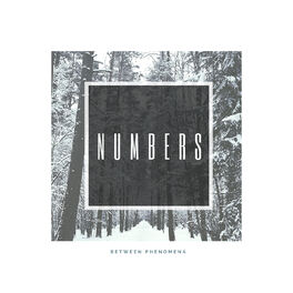 Album cover of Between Phenomena