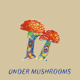 Album cover of Under Mushrooms