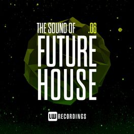 Album cover of The Sound Of Future House, Vol. 06