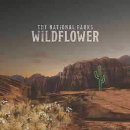 Album cover of Wildflower