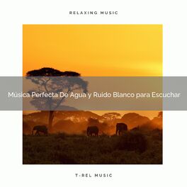 Album cover of Música Perfecta De Agua y Ruido Blanco para Escuchar