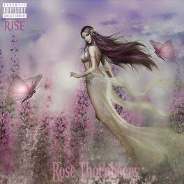 Album cover of Rise (feat. Rose Thornberry)