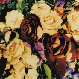 Album cover of Honest