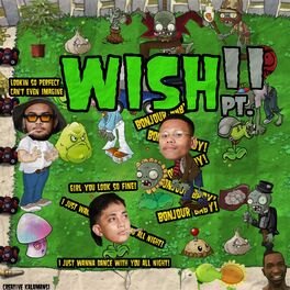 Album cover of Wish II
