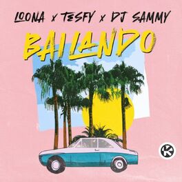 Album cover of Bailando