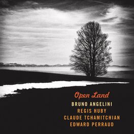 Album cover of Open Land
