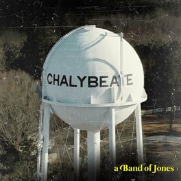 Album cover of Chalybeate