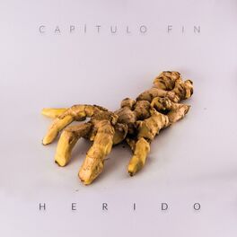 Album cover of Herido