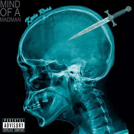Album cover of Mind of a Madman
