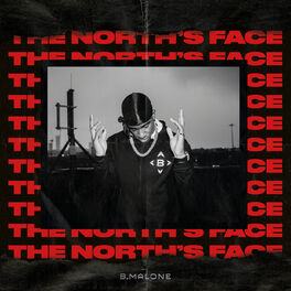 Album cover of The North’s Face