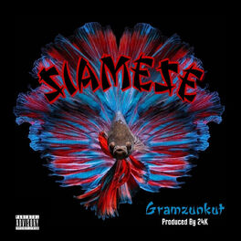 Album cover of Siamese