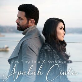 Album cover of Apalah Cinta
