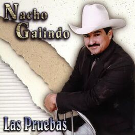 Album cover of Las Pruebas