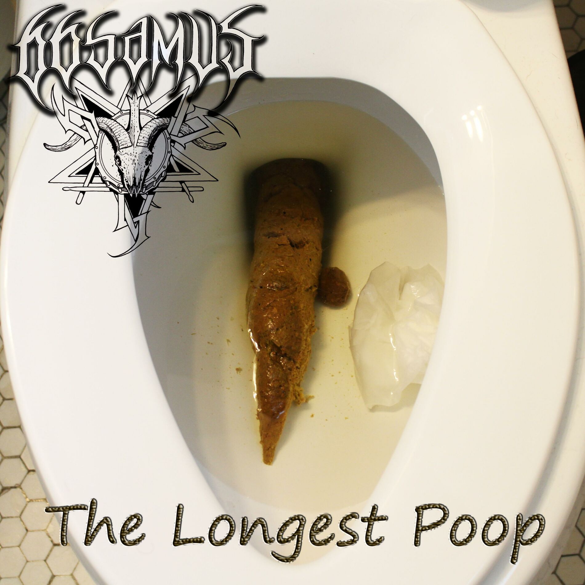 66samus - The Longest Poop: lyrics and songs | Deezer