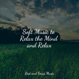 Album cover of Soft Music to Relax the Mind and Relax