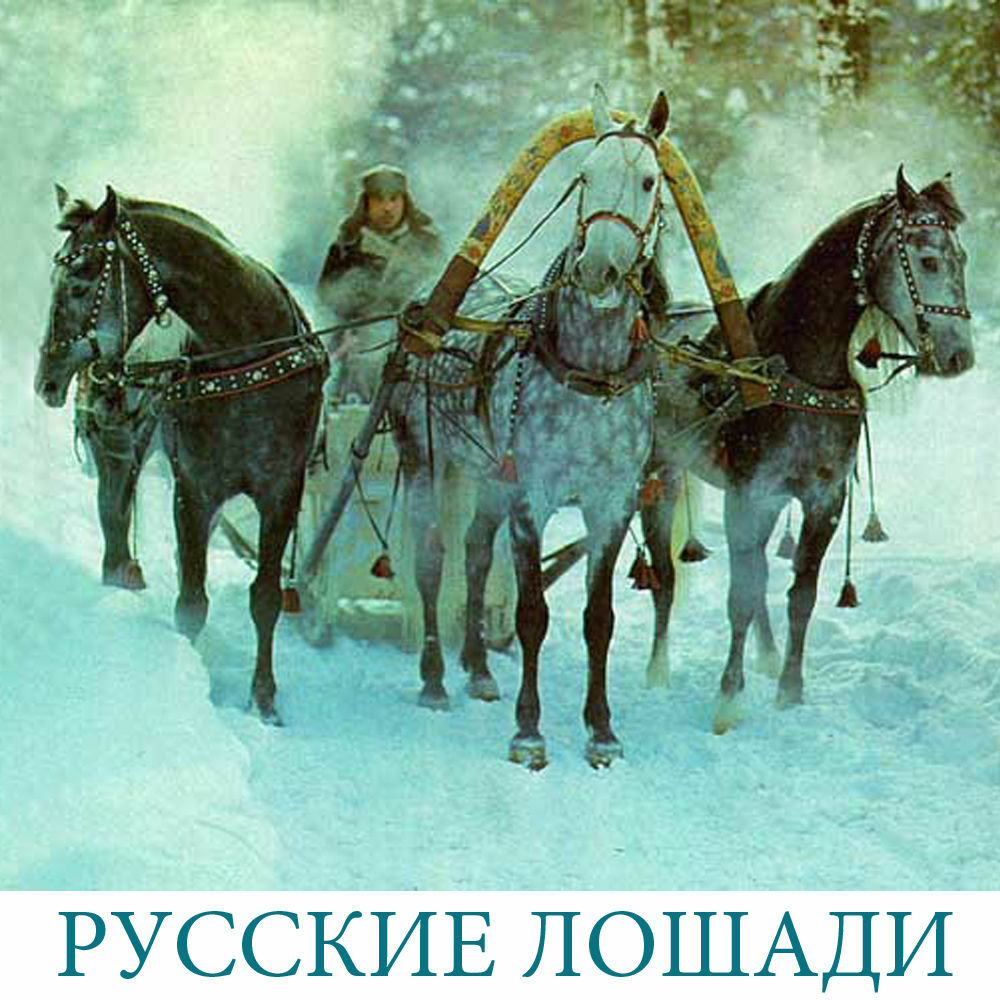 В каждой тройке. Вяземский тройка. Васнецов тройка. Виктор Васнецов тройка с бубенцами. Васнецов тройка с бубенцами живопись.